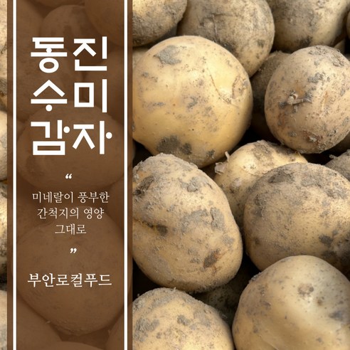 [부안로컬] 26년 수확 동진 수미 햇감자(하우스)