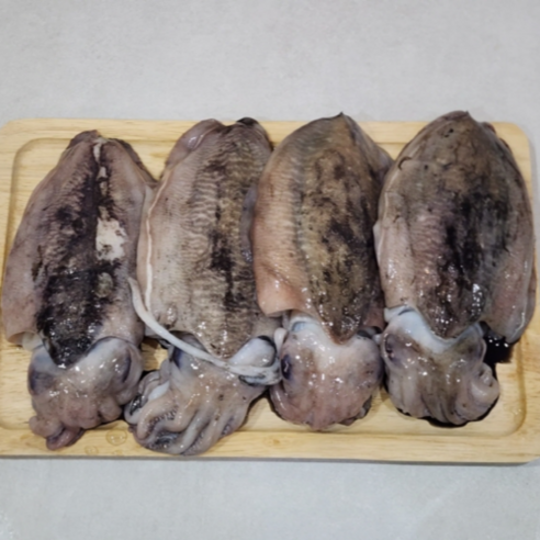 자연가득 연안 급냉 초대왕갑오징어 2kg 3-4