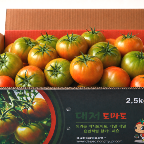 [타임특가] 부산 대저토마토 짭짤이