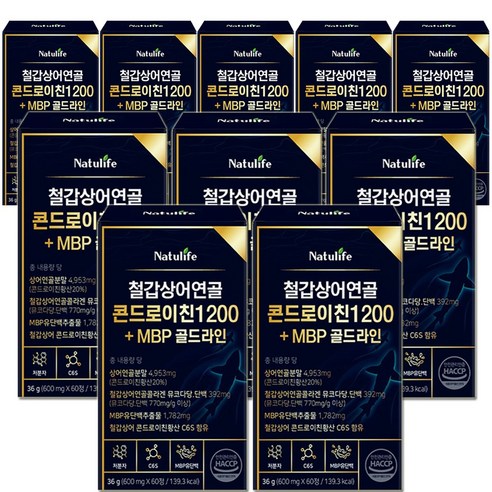 철갑상어 콘드로이친 1200 6형 저분자 뮤코다당 단백 c6s형 MBP haccp 식약청인증, 10박스, 60정