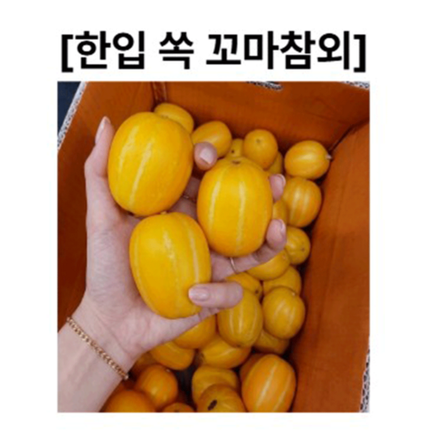 성주 꿀참외 산지직송 달콤한 꼬마참외 2kg/ 3kg /5kg, 1박스, 꼬마과 2kg