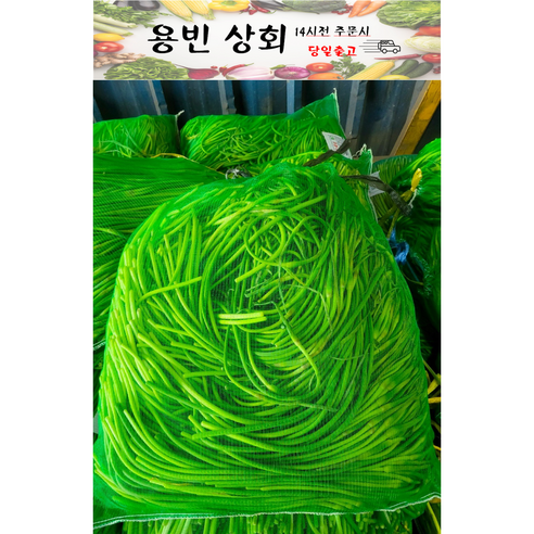 ( 용빈 상회 ) 국내산 햇 마늘쫑 1kg 2kg 3kg 5kg내외, 1박스, 2kg