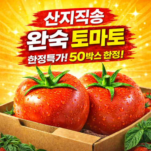 [선착특가50박스한정] 산지직송 장인선별 완숙토마토 신선보장