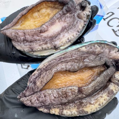 파도스토리 완도전복 2kg 왕특대 직거래 산지직송 선물세트 손질칼 증정, 2세트, 2kg(톡대 20-22미)