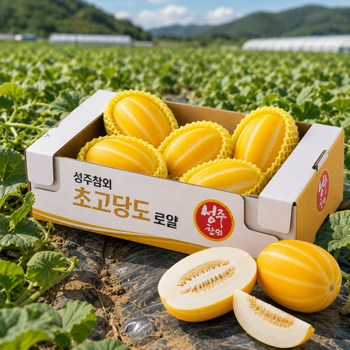 [엄선된 상등급] 경북산지직송프리미엄 성주참외 로얄과