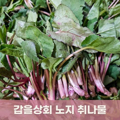 [갑을상회] 노지 취나물 지리산 생취나물