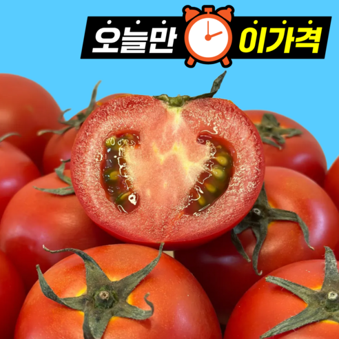 [오늘만할인] 100박스한정 고품질 완숙토마토 초특가할인