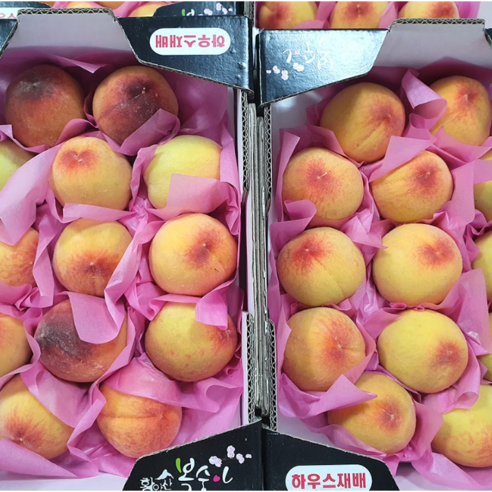 [2026년 첫 판매] 당일수확 산지직송 경북 하우스 제철 털복숭아, 1박스, 1.5kg(대과)