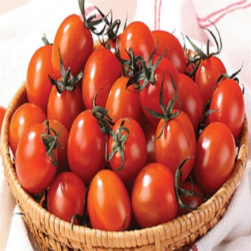 [루틴] 스윗 방울토마토 1.5kg TOMATO 채식 수경재배