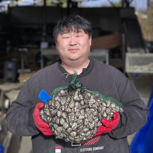 싱싱한 당일 채취 제철 벌교 새꼬막, 1개, 꼬막 4kg(소)
