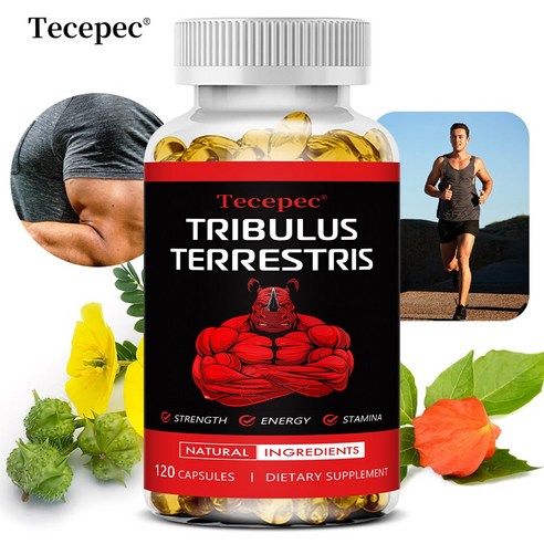 남성용 남가새추출물 캡슐 - 초강력 6700mg - 에너지, 지구력, 자연에너지 향상, non-GMO, 2개, 60회분