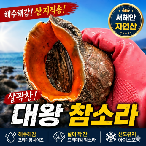 [산지직송] 참소라 격포 서해안 자연산 해감소라 생물, 1박스, 대 1kg