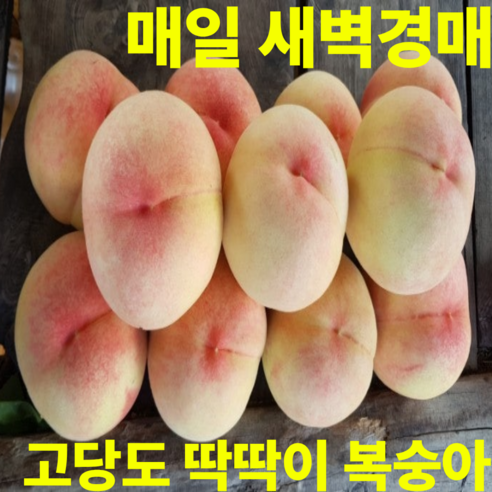 매일 새벽경매 고당도 딱딱이 복숭아, 1박스, 딱딱이 5kg