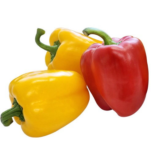 국내산 특품 파프리카 빨강 노랑 혼합, 1개, 파프리카_500g
