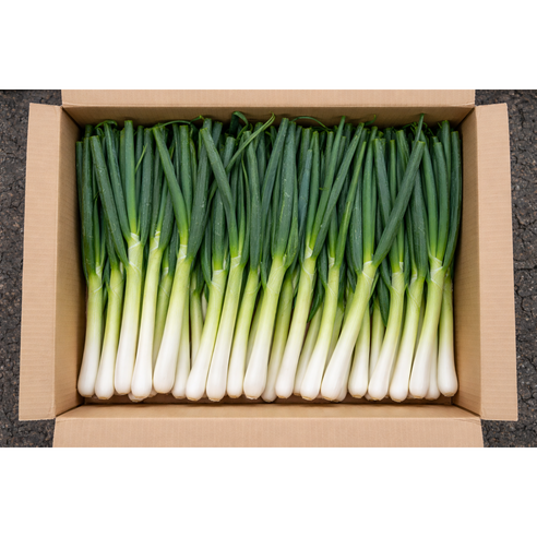 국내산 신선한 손질 대파, 1개, 10kg