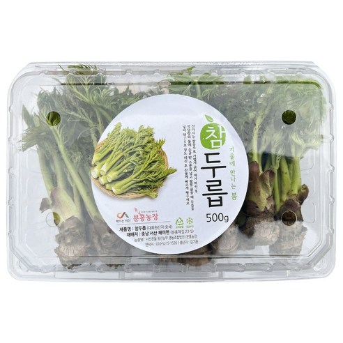 산지직송 자연산 국내산 국산 싱싱한 제철 참두릅