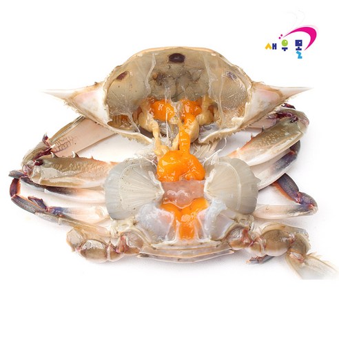 새우몰 삼점 암꽃게 3kg 100-150 23-26미 간장게장용