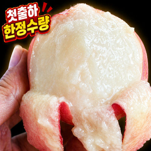 [전국첫출하] 하우스 복숭아 산지직송 꿀당도