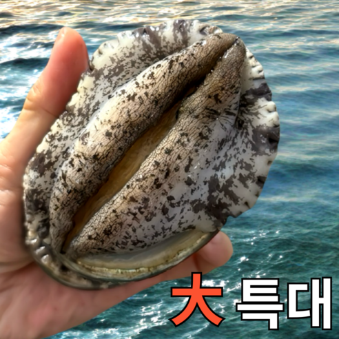 [파도스토리] 완도전복 2kg 왕특대 직거래 산지직송 산소포장 선물 세트, 1박스, 2kg(특대 18-20미)