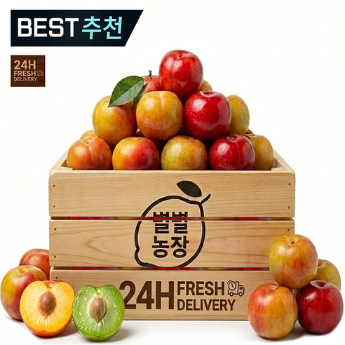 햇자두1위 별별농장 산지직송 제철고당도 하우스자두, 1박스, 대석 홍로센 후무사 1.5kg(특대과)