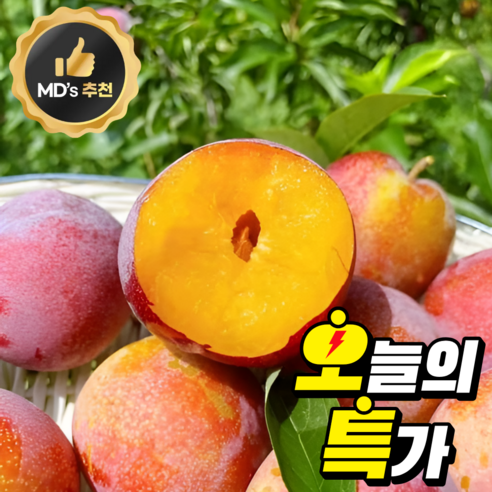 <첫출하초특가>마트납품용 새콤달콤 하우스 자두 대석, 1박스, 250g