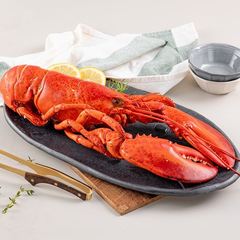 바다대로 신선한 냉동 랍스터 캐나다 자숙 랍스터, 5개, 400~450g