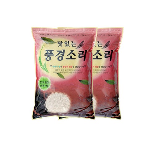 쿠팡! 현대농산 찹쌀 5kg X 2