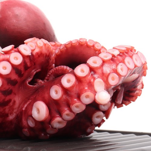 더줌 자숙문어 데친 제수용 냉동 문어 숙회 한마리 1kg, 1.3kg 1.5kg, 1마리(1.4~1.6kg), 1개