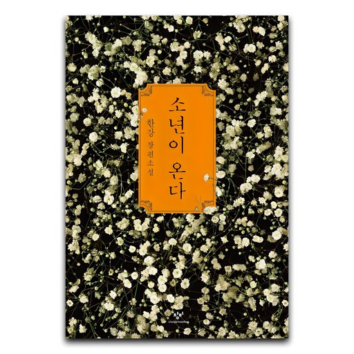 소년이 온다 한강 장편소설으로 당신의 감성을 깨워보세요