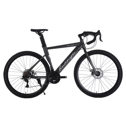 제피로스 프리미엄 로드자전거 LTWOO R3 16단 입문용 싸이클 출퇴근 성인 학생 조립, 1개, 175cm, 그레이 16단