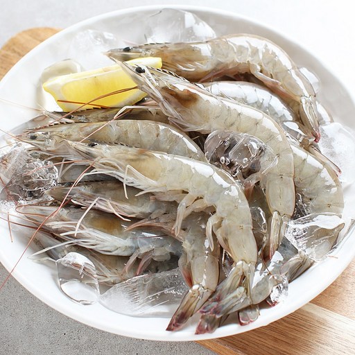 국내산 흰다리 왕특대 새우 1kg 40미내외 생물새우 활새우 매일새벽어획 직접 선별출고 26년산