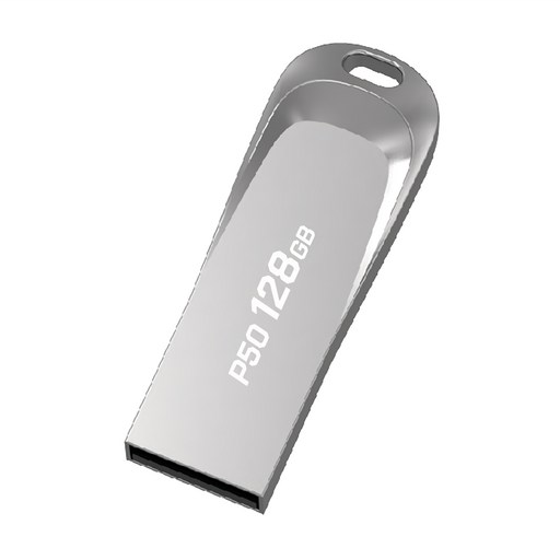 P50 PLEIGO USB 메모리로 안전하고 빠른 데이터 저장 경험하세요