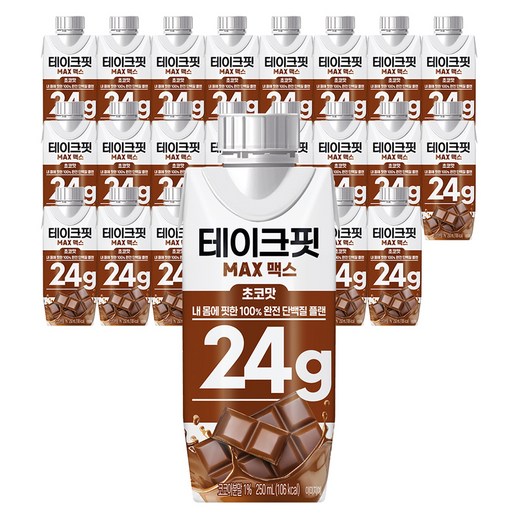 테이크핏 맥스 초코맛 프로틴