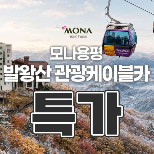 발왕산 관광케이블카 소인권