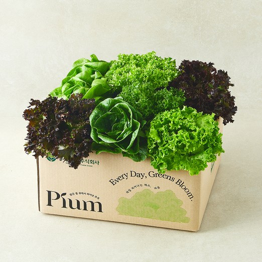 피움 무농약 인증 유러피안 샐러드 꾸러미, 1kg, 1개