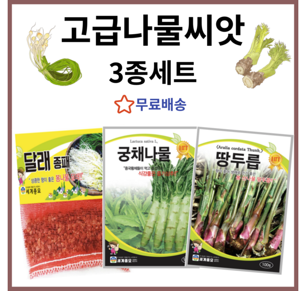 궁채씨앗 완벽 가이드: 재배부터 수확까지, 궁금증 해결!  궁채 키우기 성공 노하우