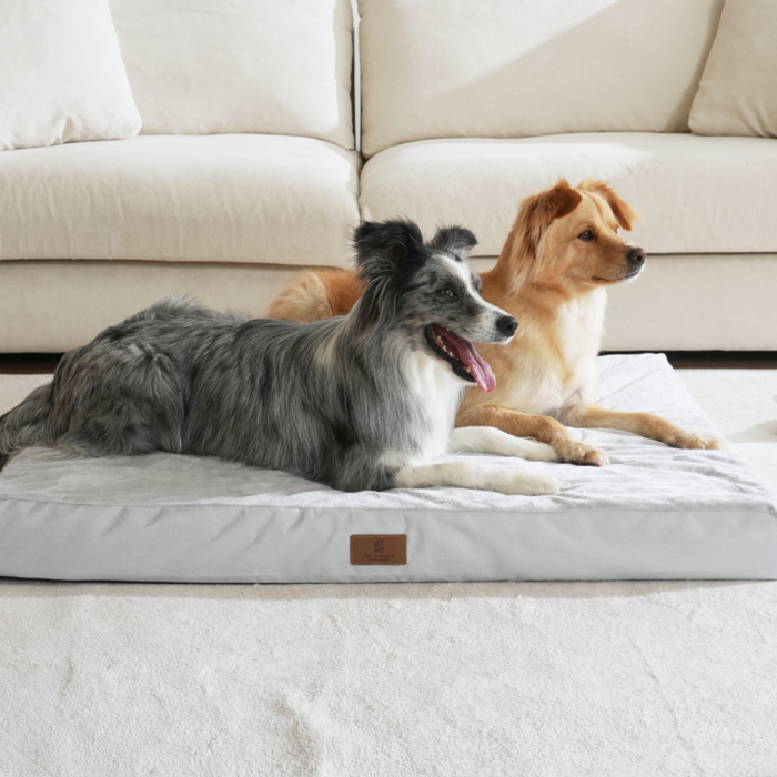 홀릭하임 대형견 슬개골 보호 에그폼 커버분리형 사각 방석 01 L  2XL, 그레이, 1개