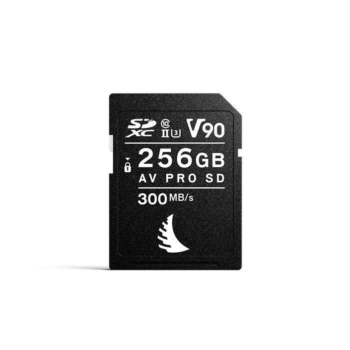 앤젤버드 PRO MK2 메모리카드 SD V90, 256GB, 1개