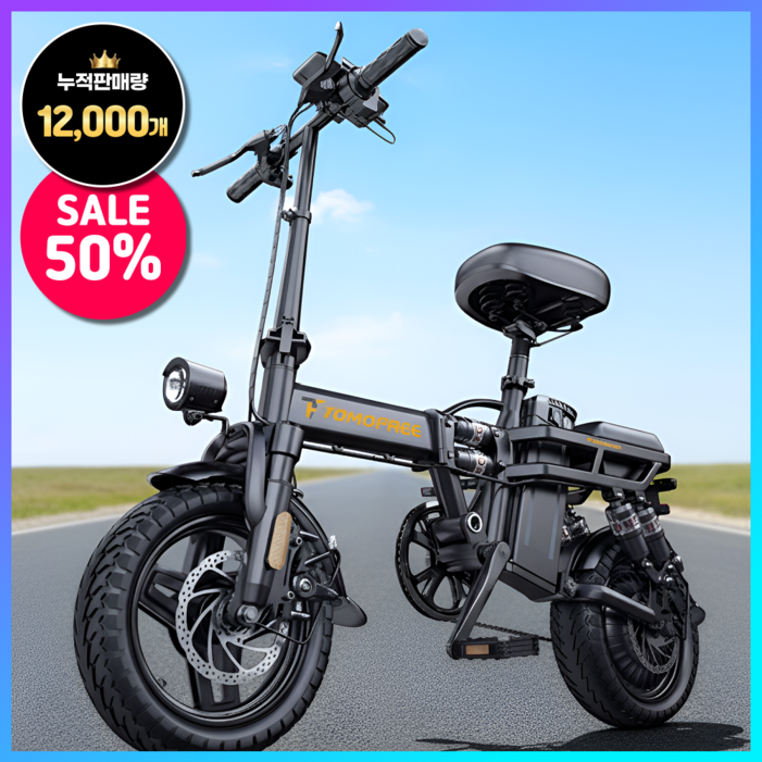 로디테크 접이식 전기자전거 미니 바이크 스쿠터 추천 배달 가성비 파스 pas 자토바이