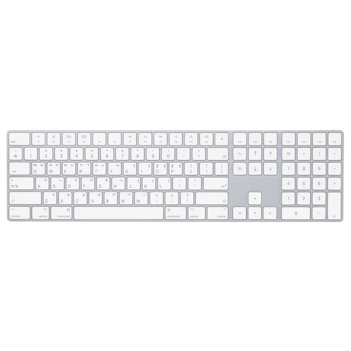 Apple 정품 매직 키보드 WITH NUMERIC KEYPAD