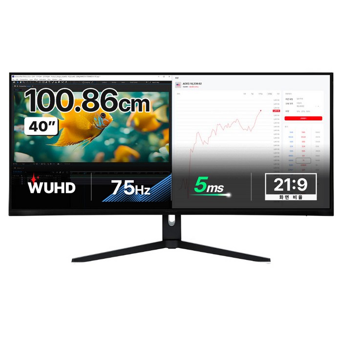 인터픽셀 5K WUHD NANO IPS 75Hz 높이조절 모니터, IPU4010무결점, 100.859cm