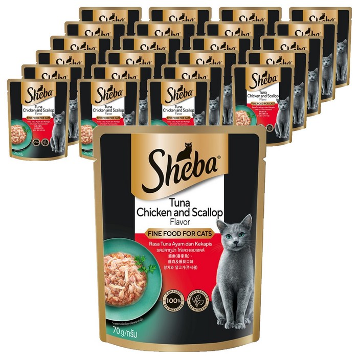 쉬바 고양이 주식 파우치