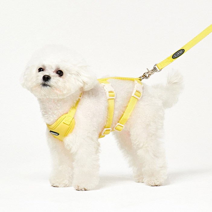 프로젝트21 강아지 리프팅 관절 보호 하네스  리쉬 세트