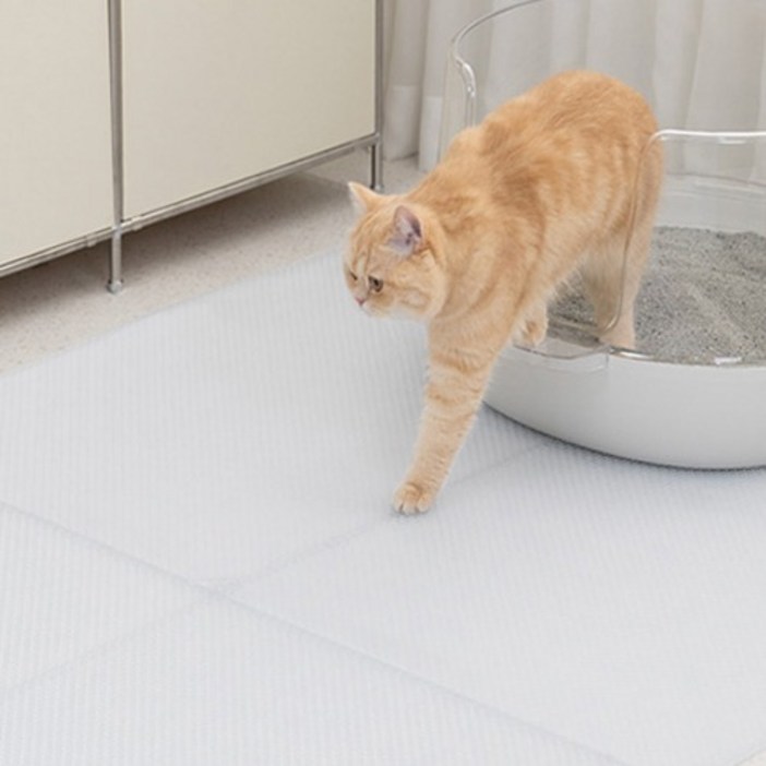 냥쌤 캐치매트 큐브타입, 투명, 1개