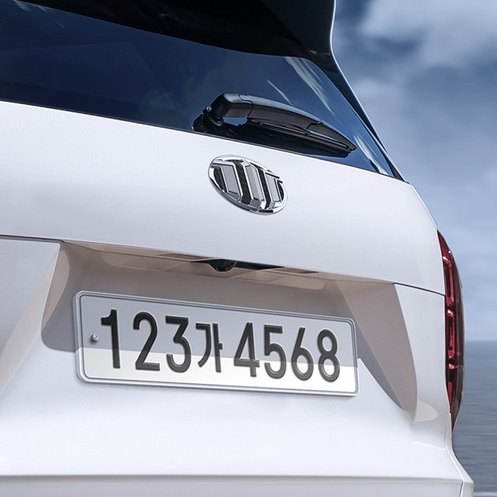 브렌톤 스키니 플레이트 비천공 번호판 가드