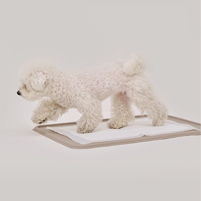 [본사직영/당일출고] 강집사 실리콘 날개 배변매트 논슬립 화장실, 1개, 베이지