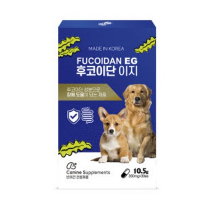 유효기간 임박 1+1 이지 암세포 전이 억제 항암 항알레르기 면역력 강아지 유산균 장 영양제 2024.5 제품소진시까지