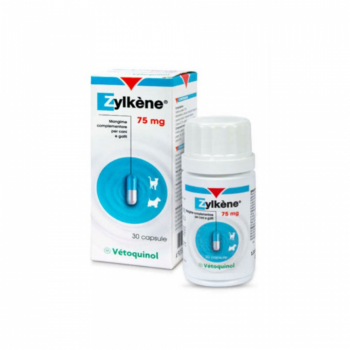 베토퀴놀 반려동물 질켄 영양제 30p