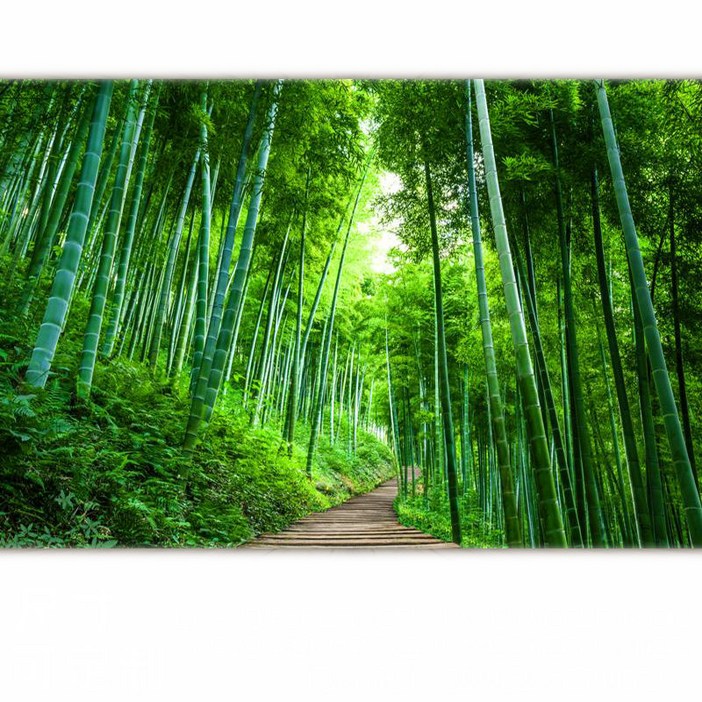 인테리어 포인트벽지스티커 자연풍경 시트지 붙이는벽지, QT2577