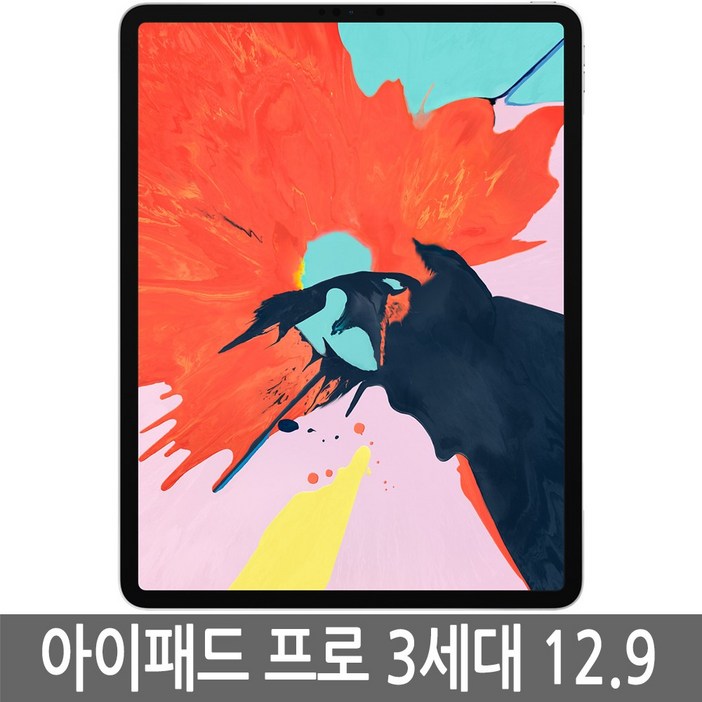 아이패드 프로3세대 12.9 iPad Pro WiFiLTE 정품 아이패드 프로3세대 12.9 iPad Pro WiFiLTE 정품